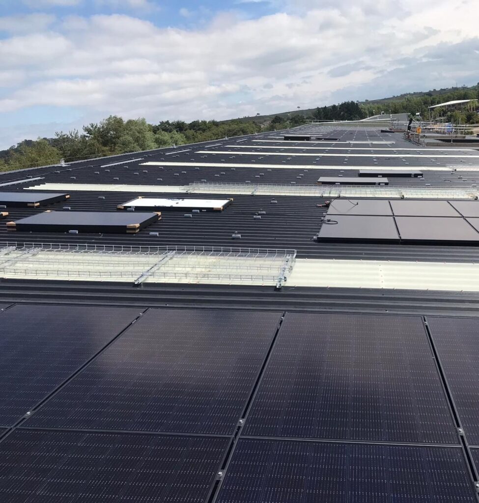 commercial solar panels in Dorset