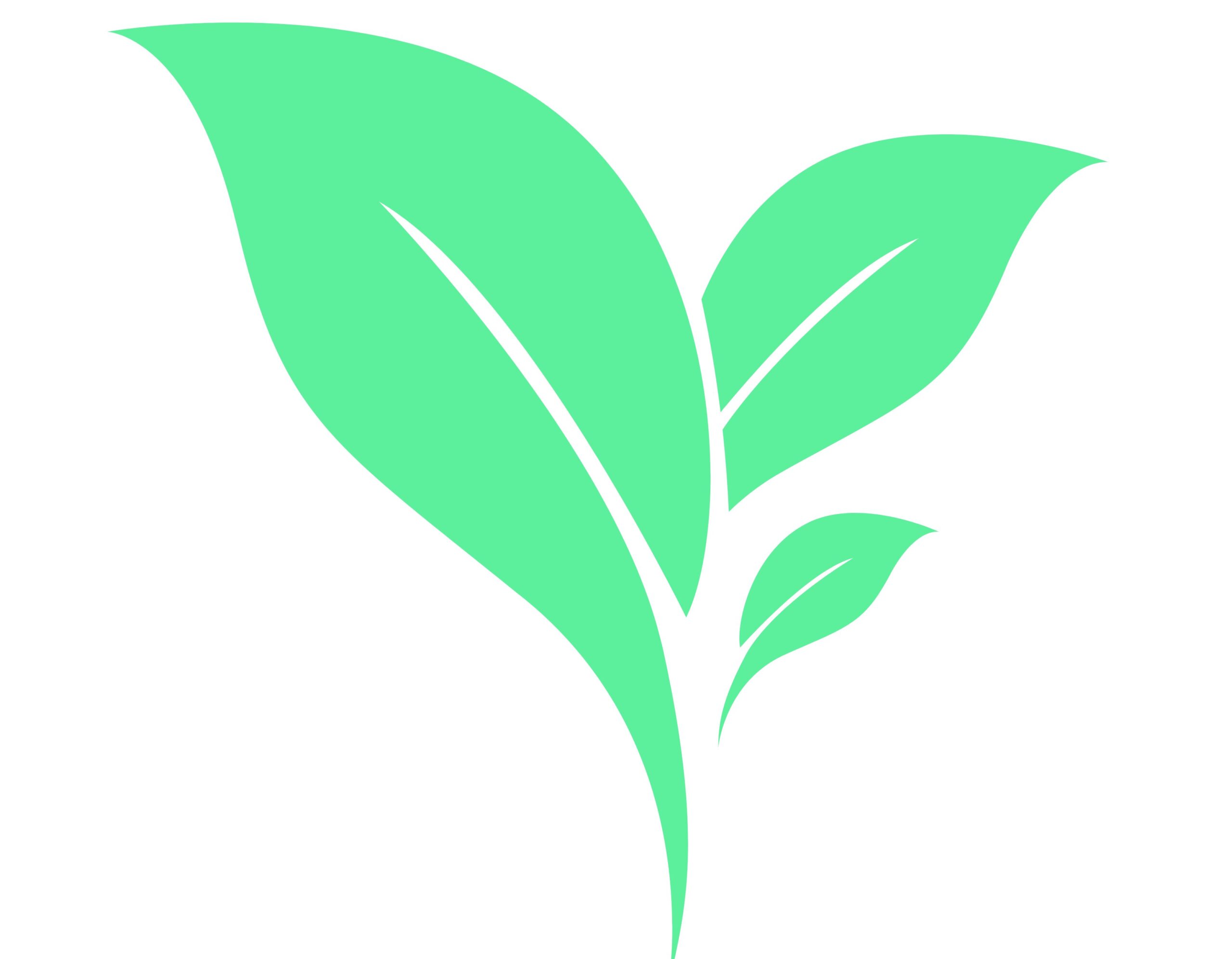 lifespan of the solar system